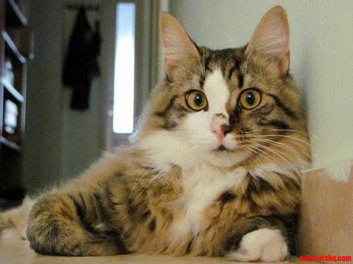 My Pretty Boy