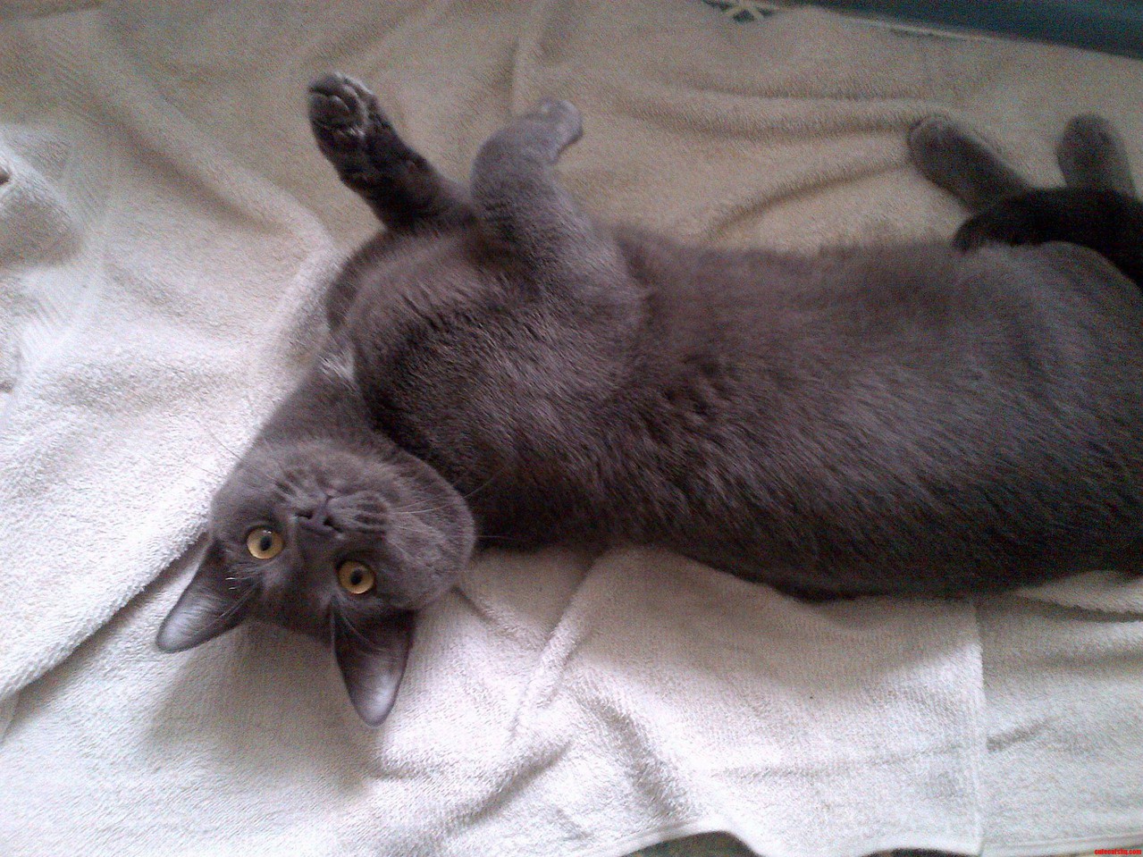 My Prince Always Makes My Mornings Better 3