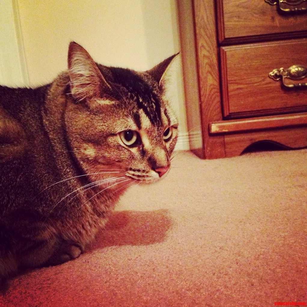 My Princess Mimi. 5 Years Old but Still Acts Like a Child