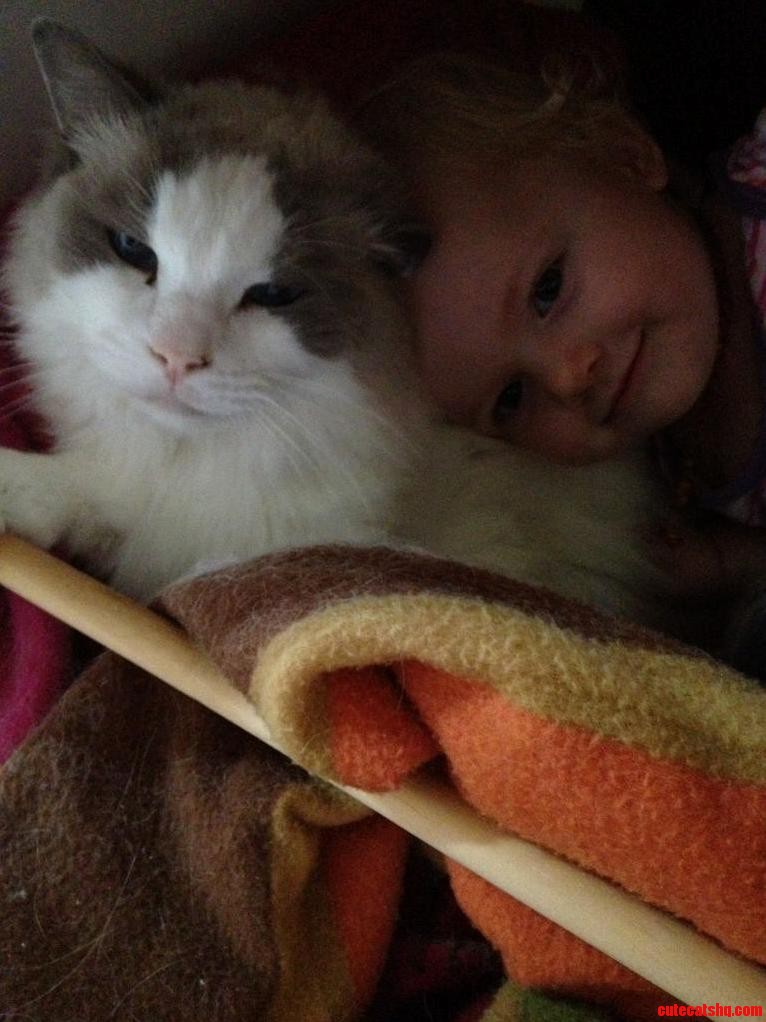 My Raggie Boy Is Such a Softie - Here He Is Patiently Tolerating My Baby Invading His Bed.