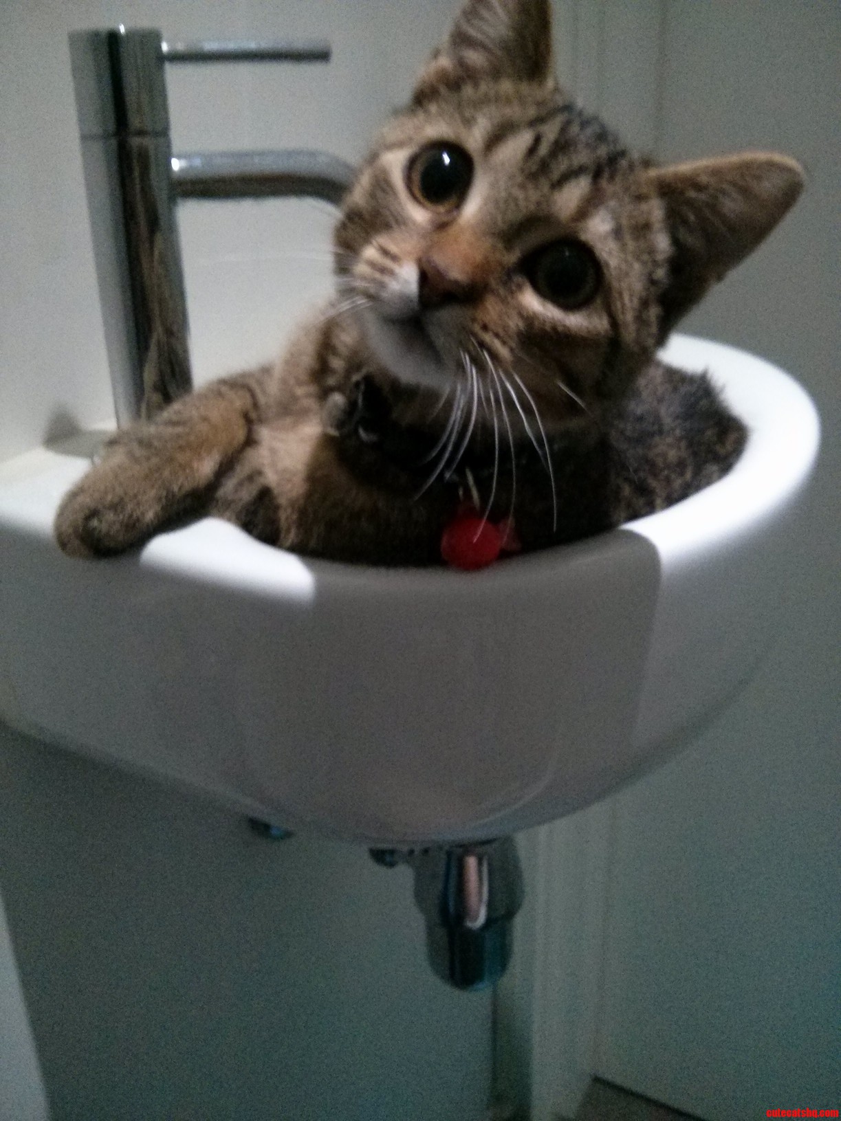 My View from the Toilet.. Every Time