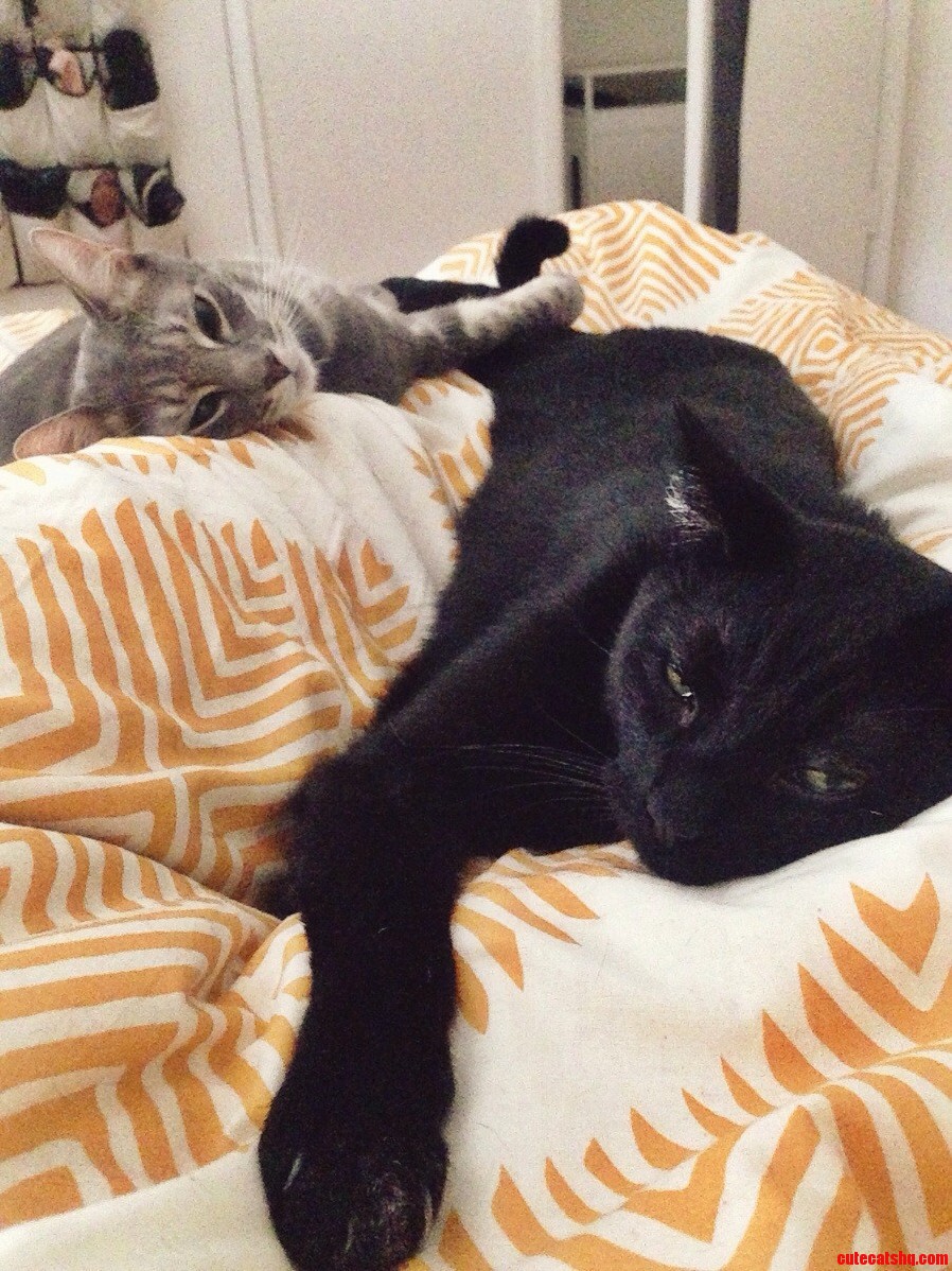 My View When Waking Up Each Morning