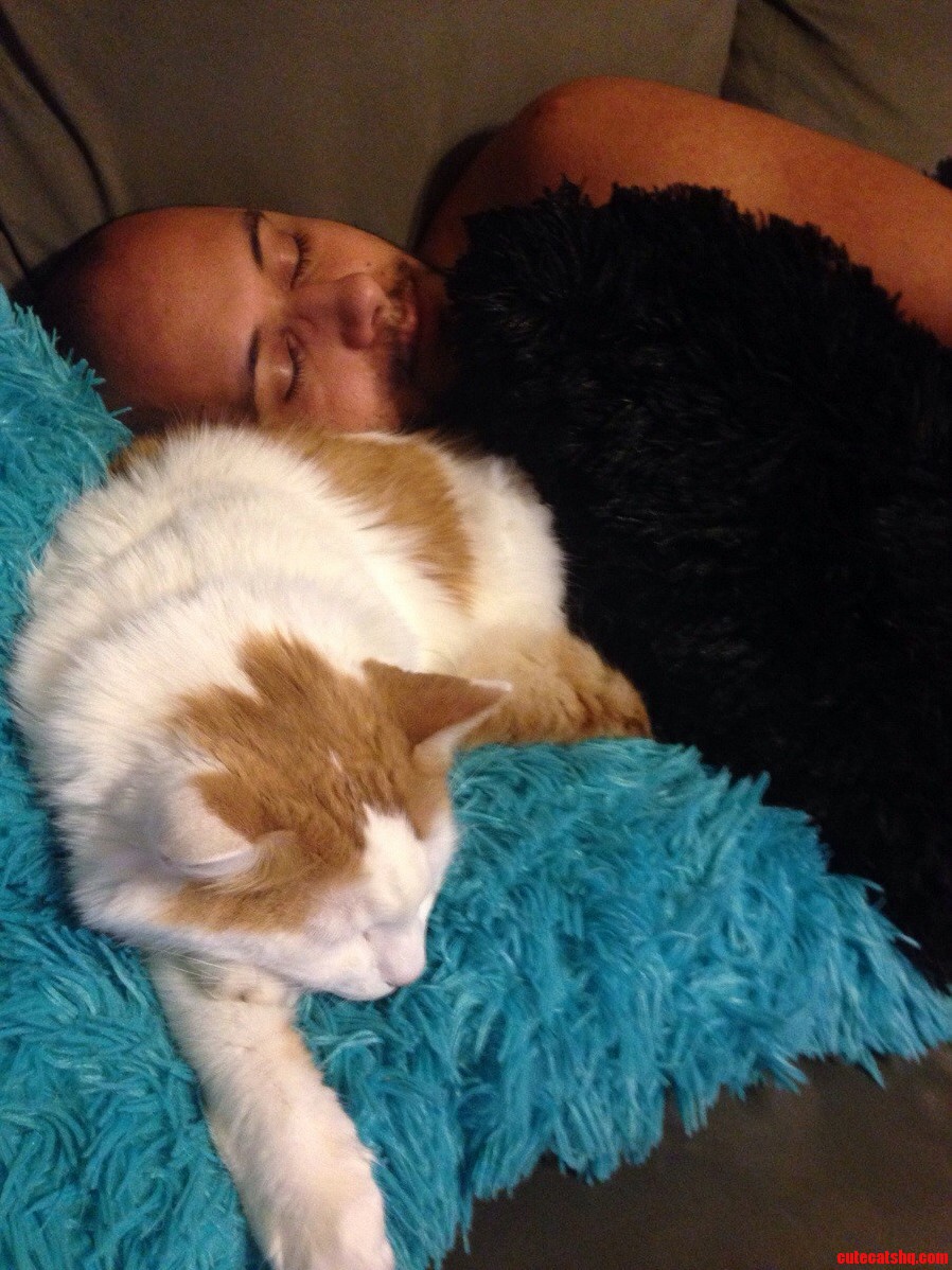 Nap Partner