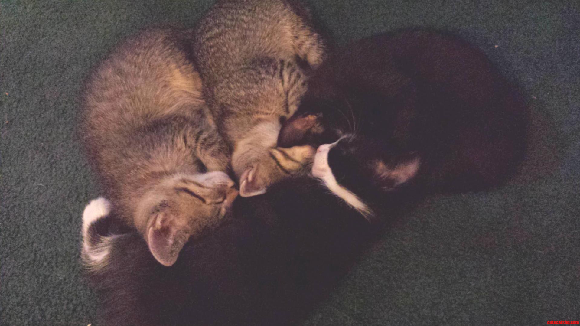 Nap Time