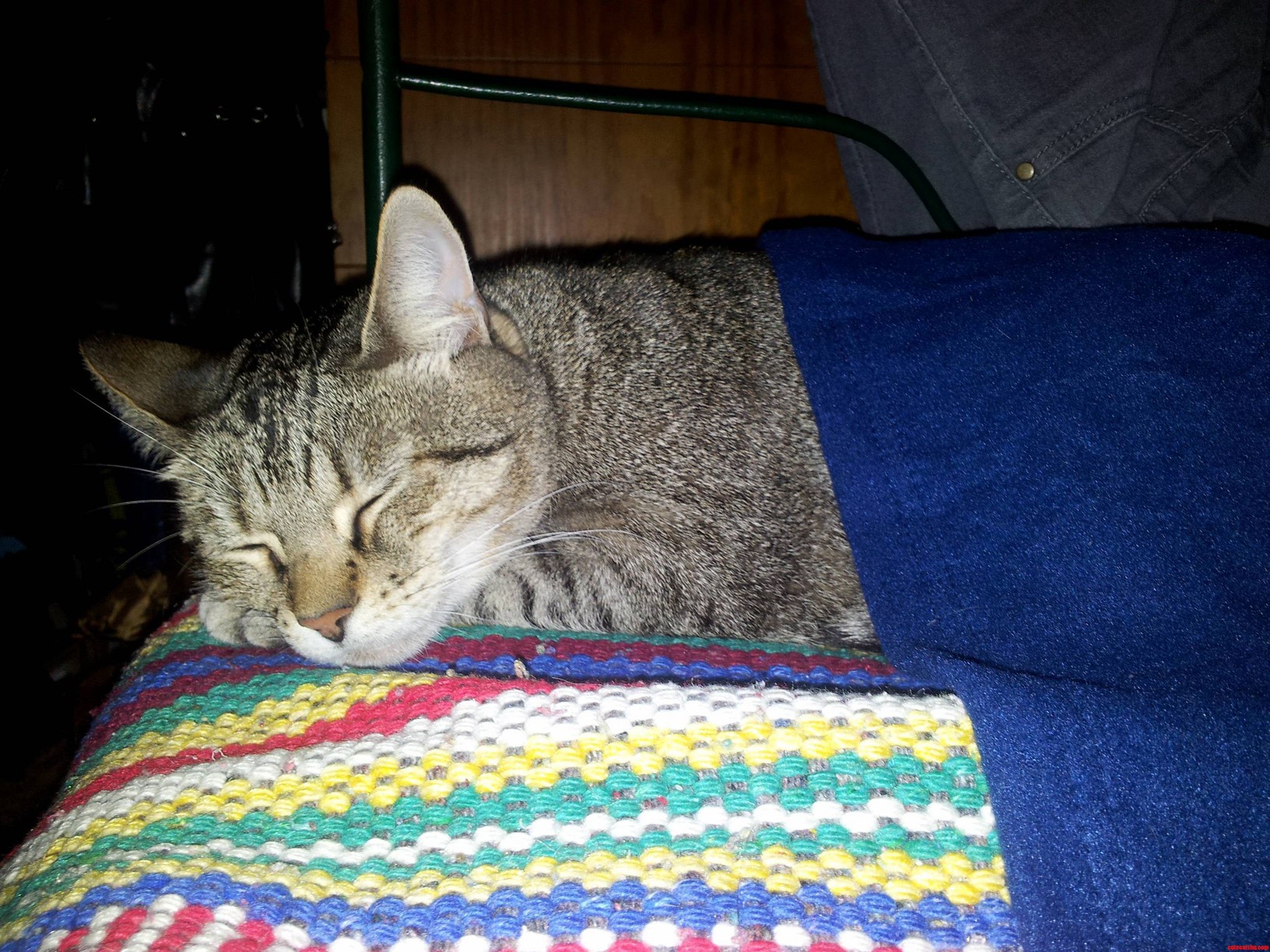 Nappy Time