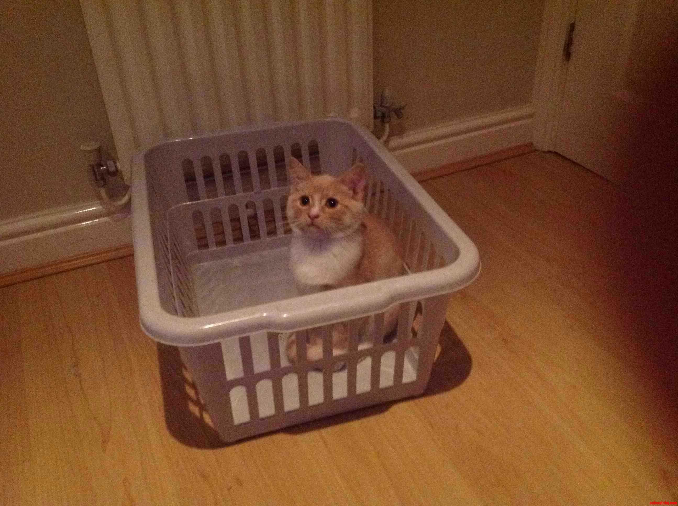 Nearly Behind Bars