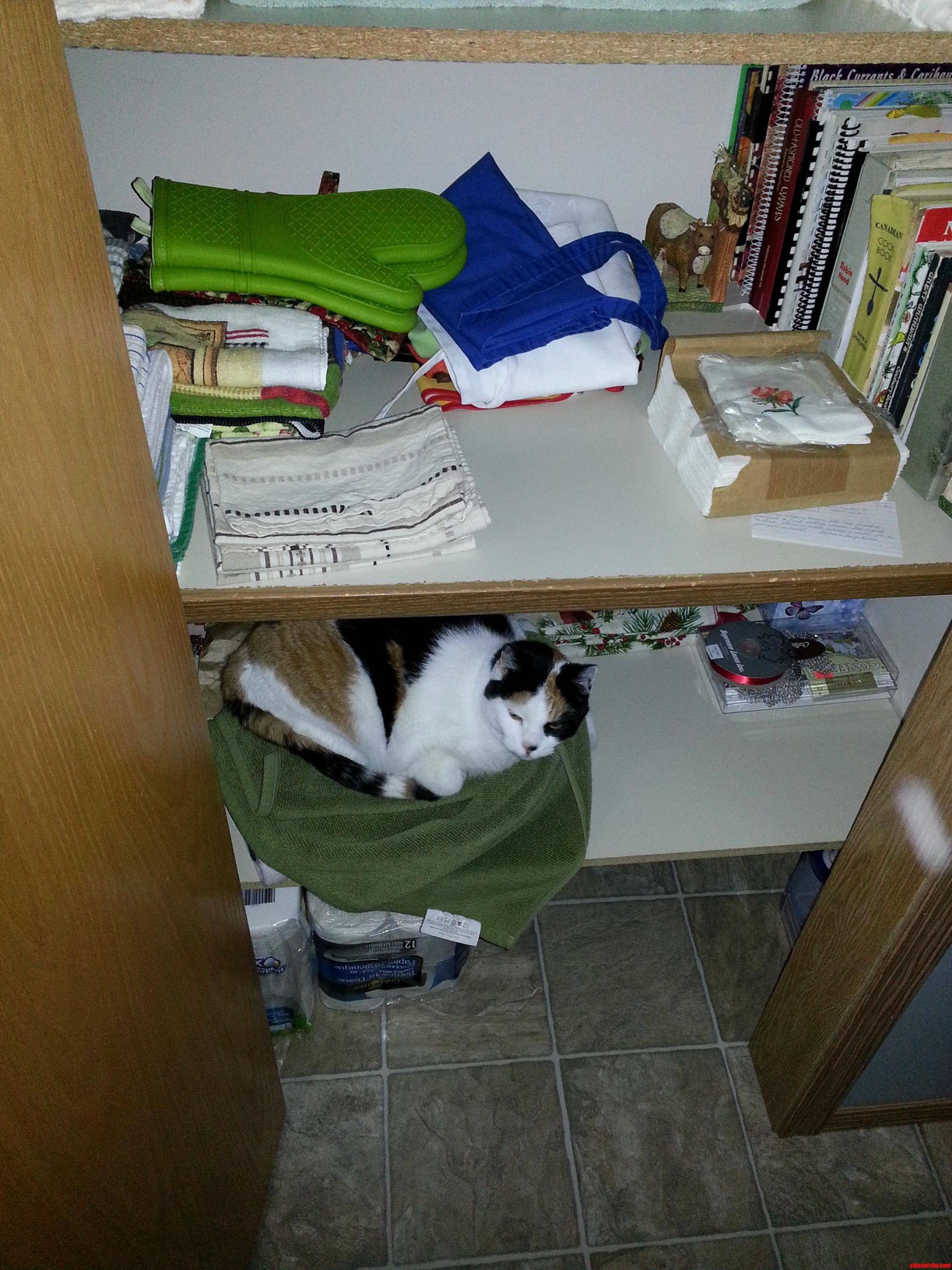 Nesting Instinct