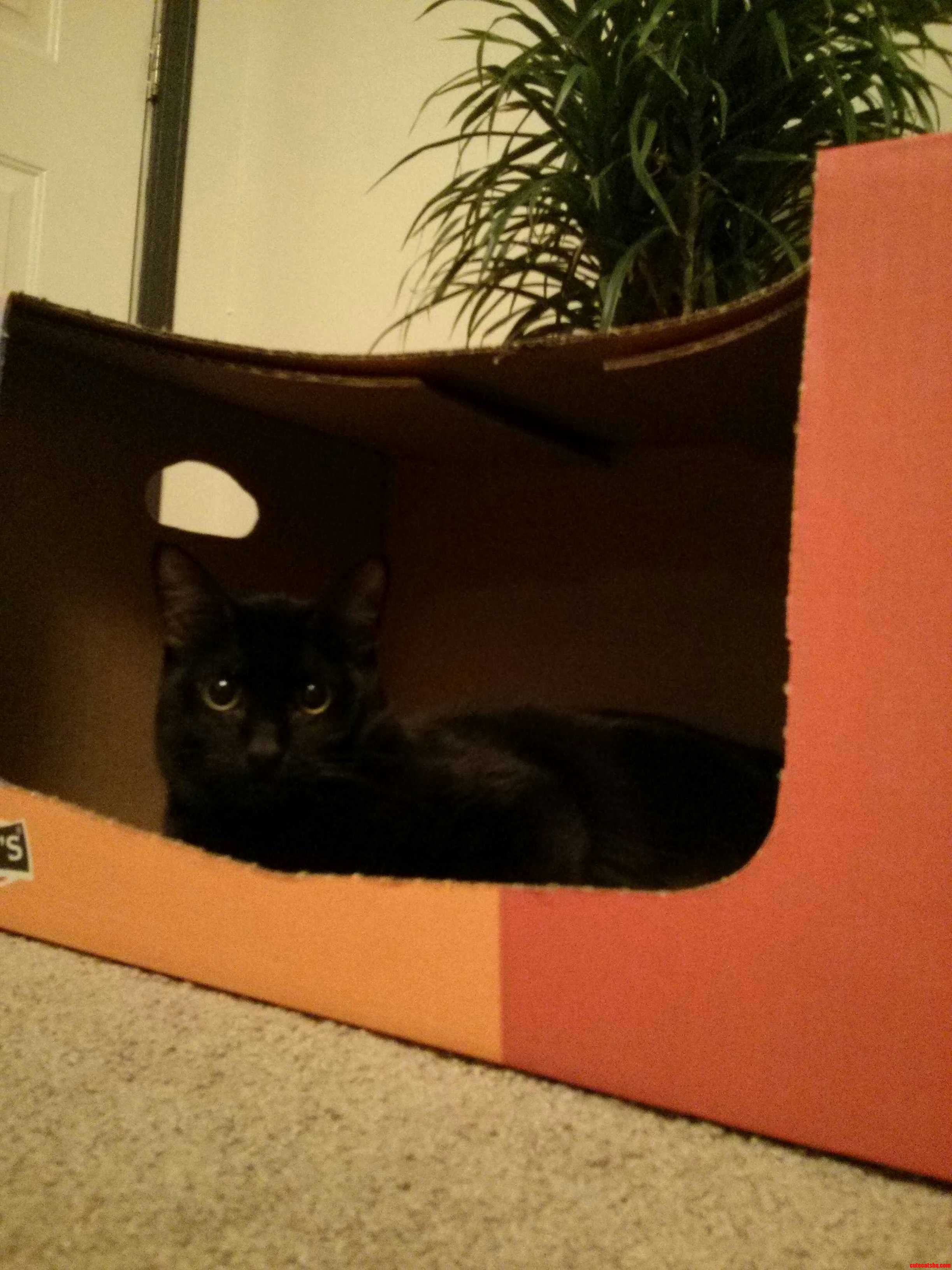 New Box Hes So Easy to Please.