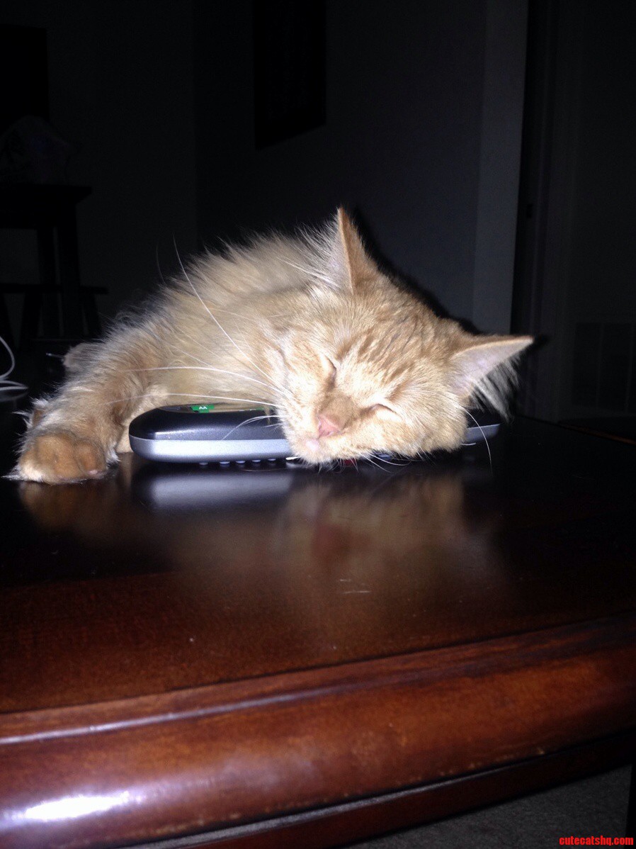 New Comcast Pillow. Looks Comfortable