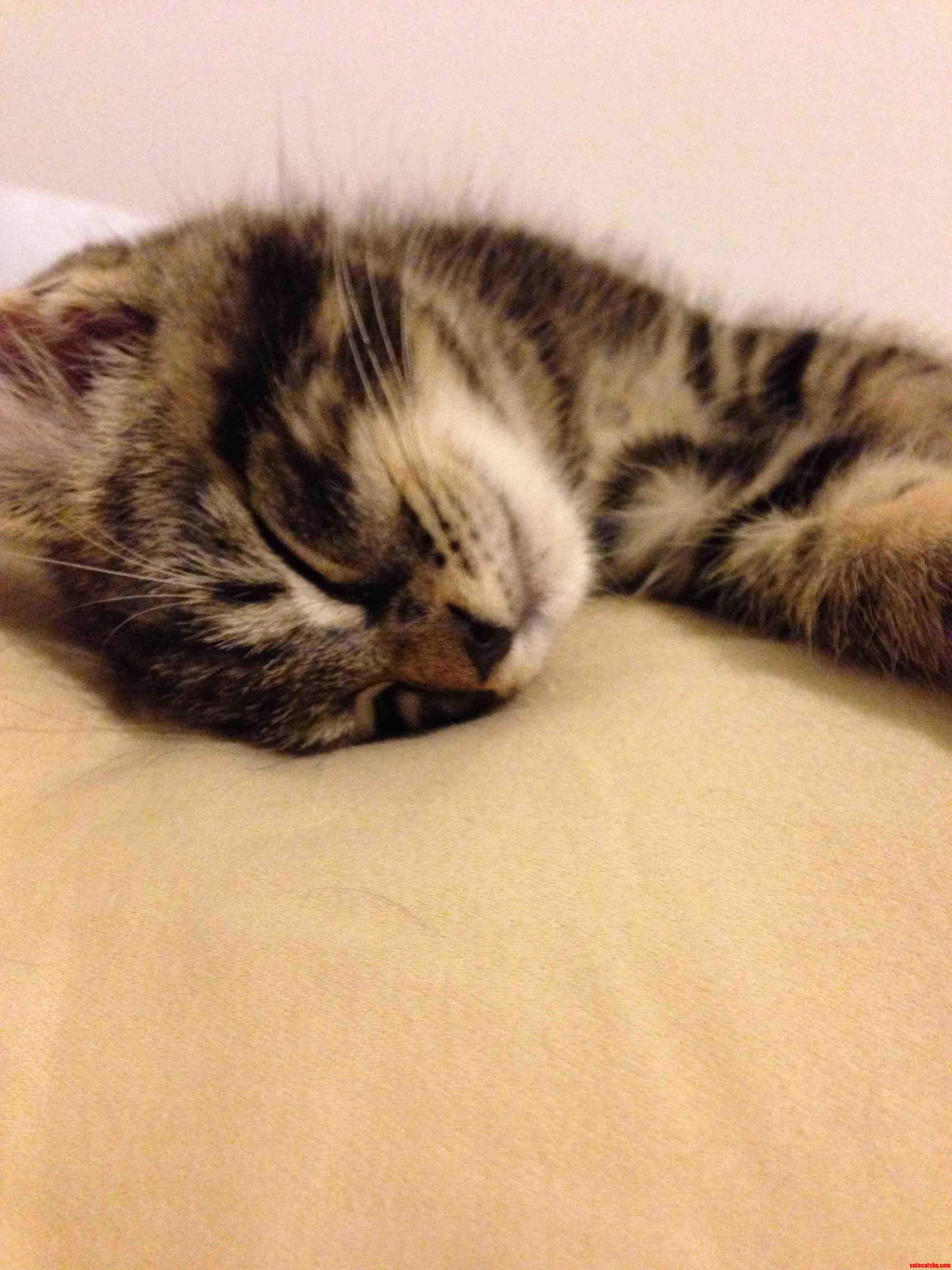 New Friend of Mine at 5-7 Weeks