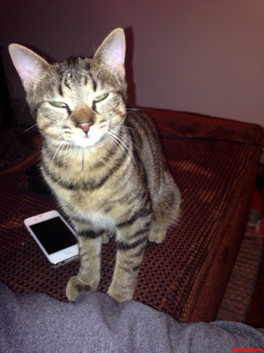 No Flash Photography Please.