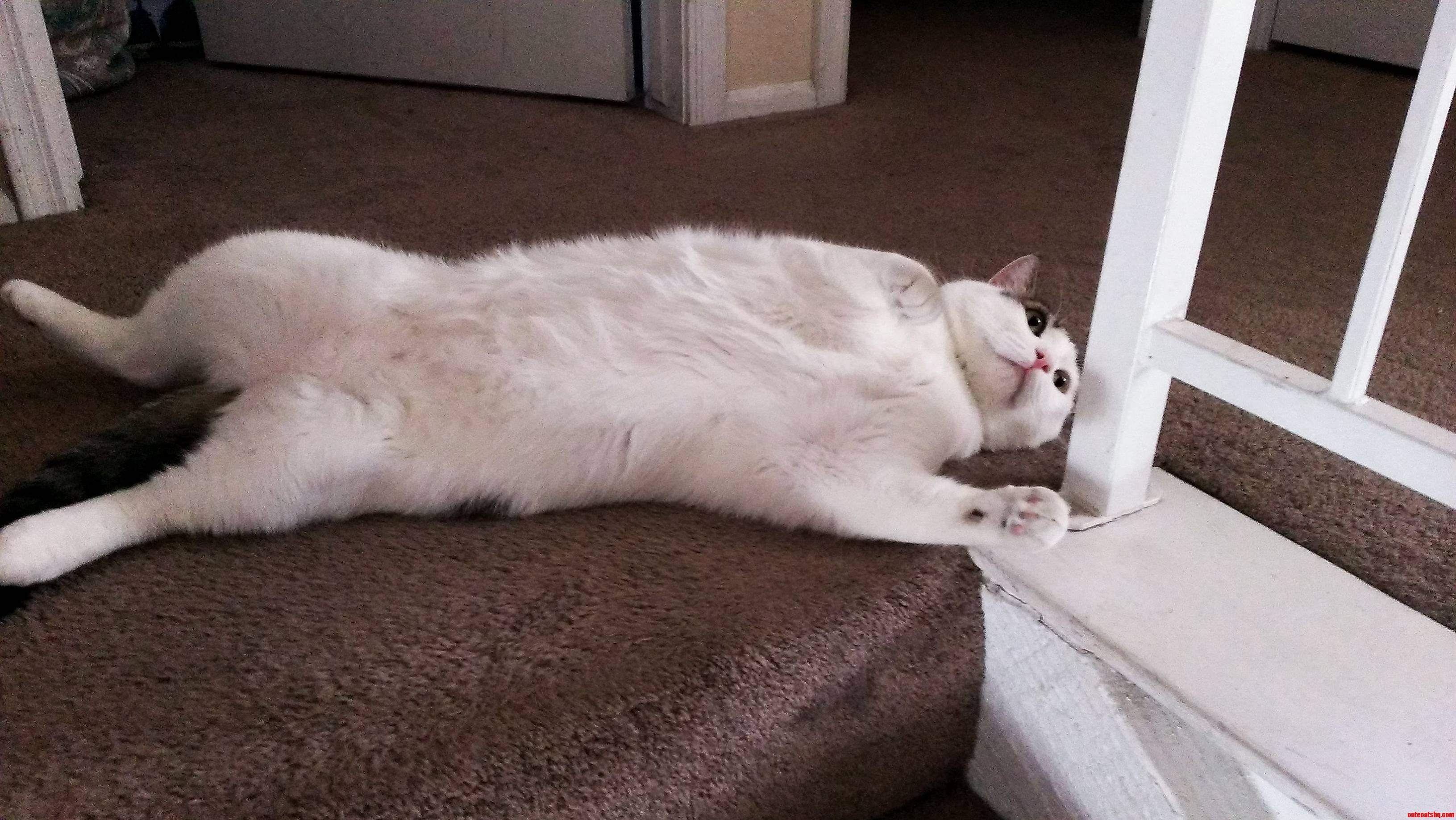 No You Cannot Pass. I Call Him the Stairblocker.