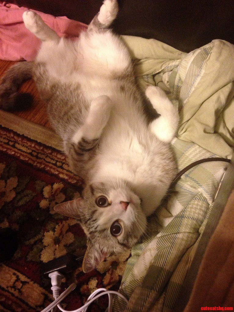 Not a Care in the World