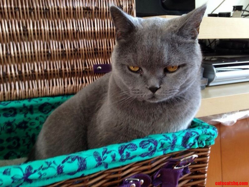 Not Impressed.