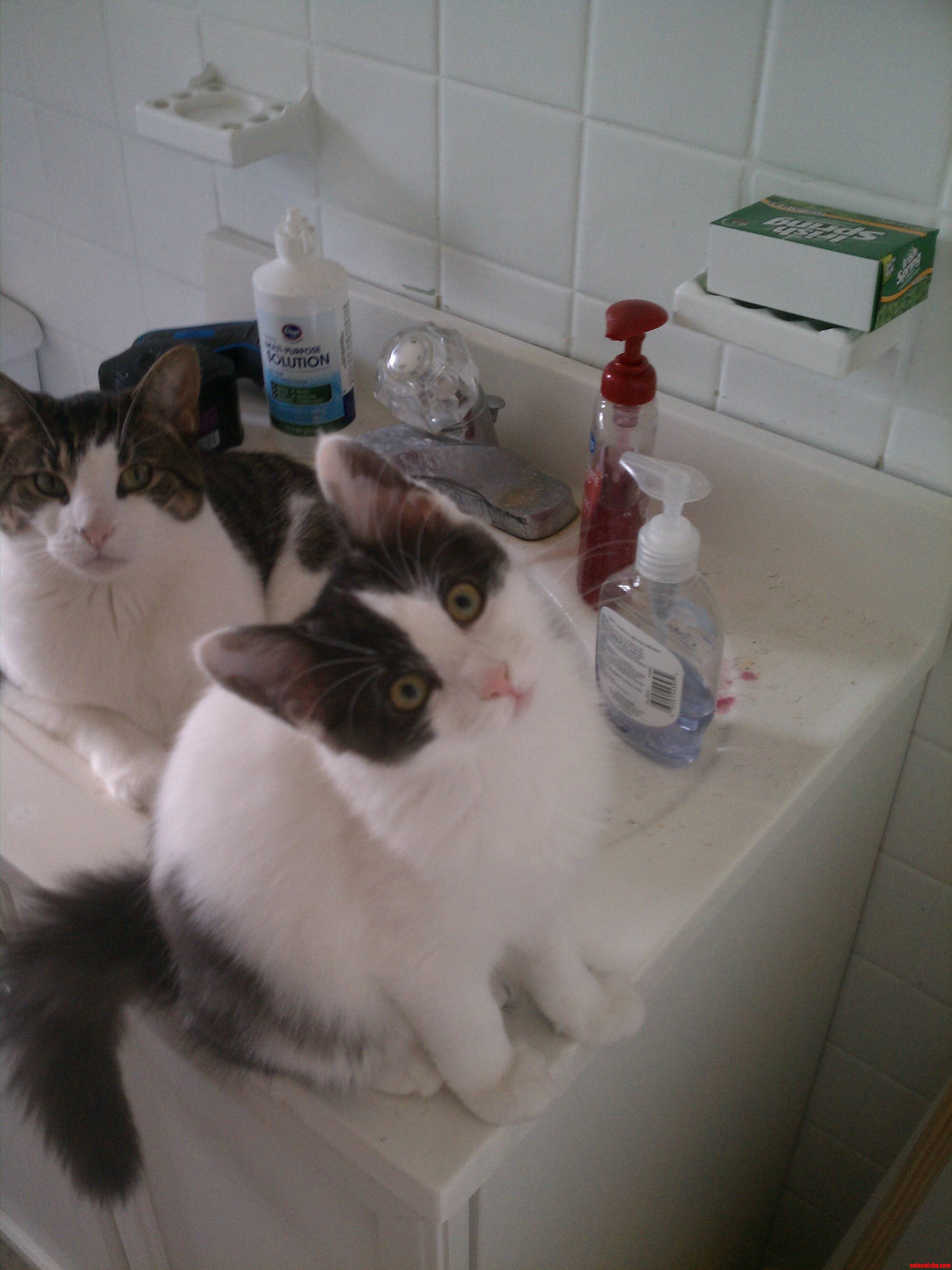 Obi and Luna