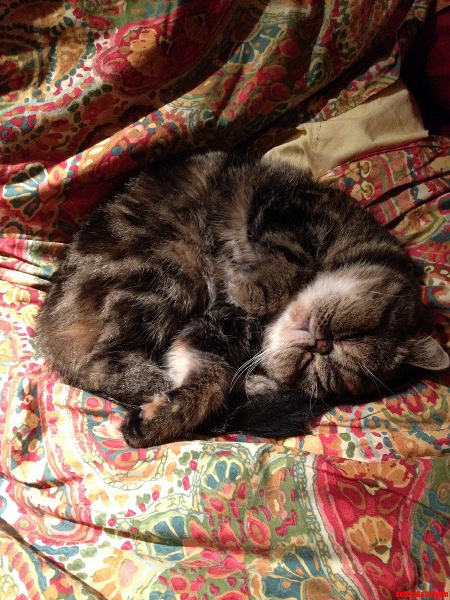 Oh I Wish I Was Doing This Instead of Getting Ready to Head Out to Work Right Now.