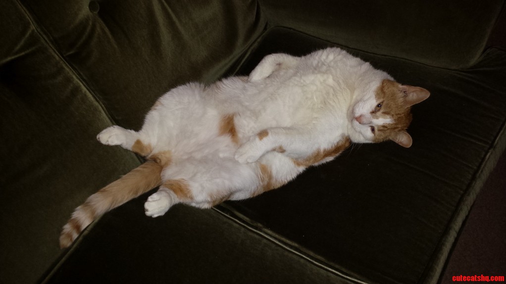 Oh..i Didnt Realize You Were Sat Here Already