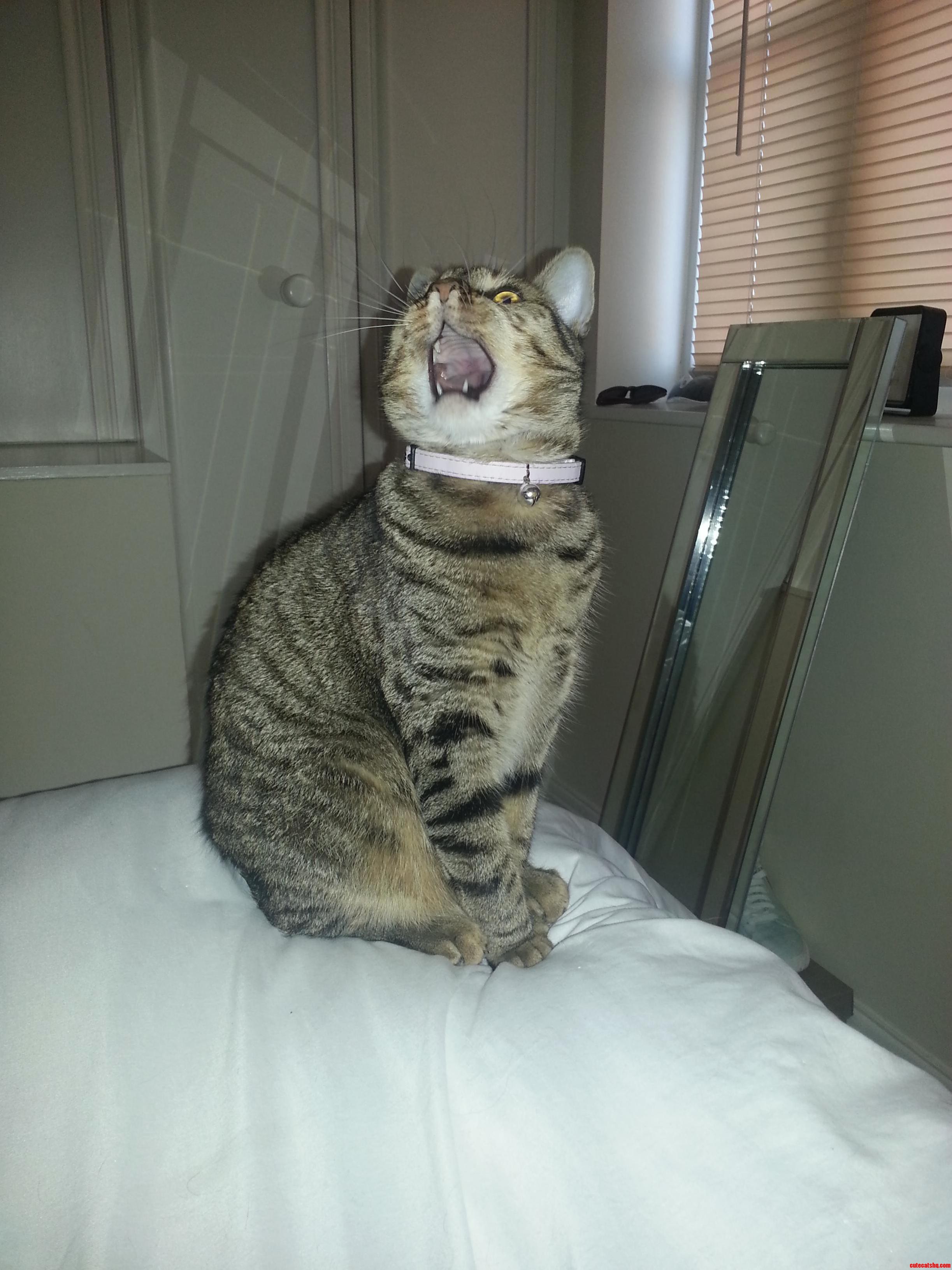 Ohhhmaaaagaaaad