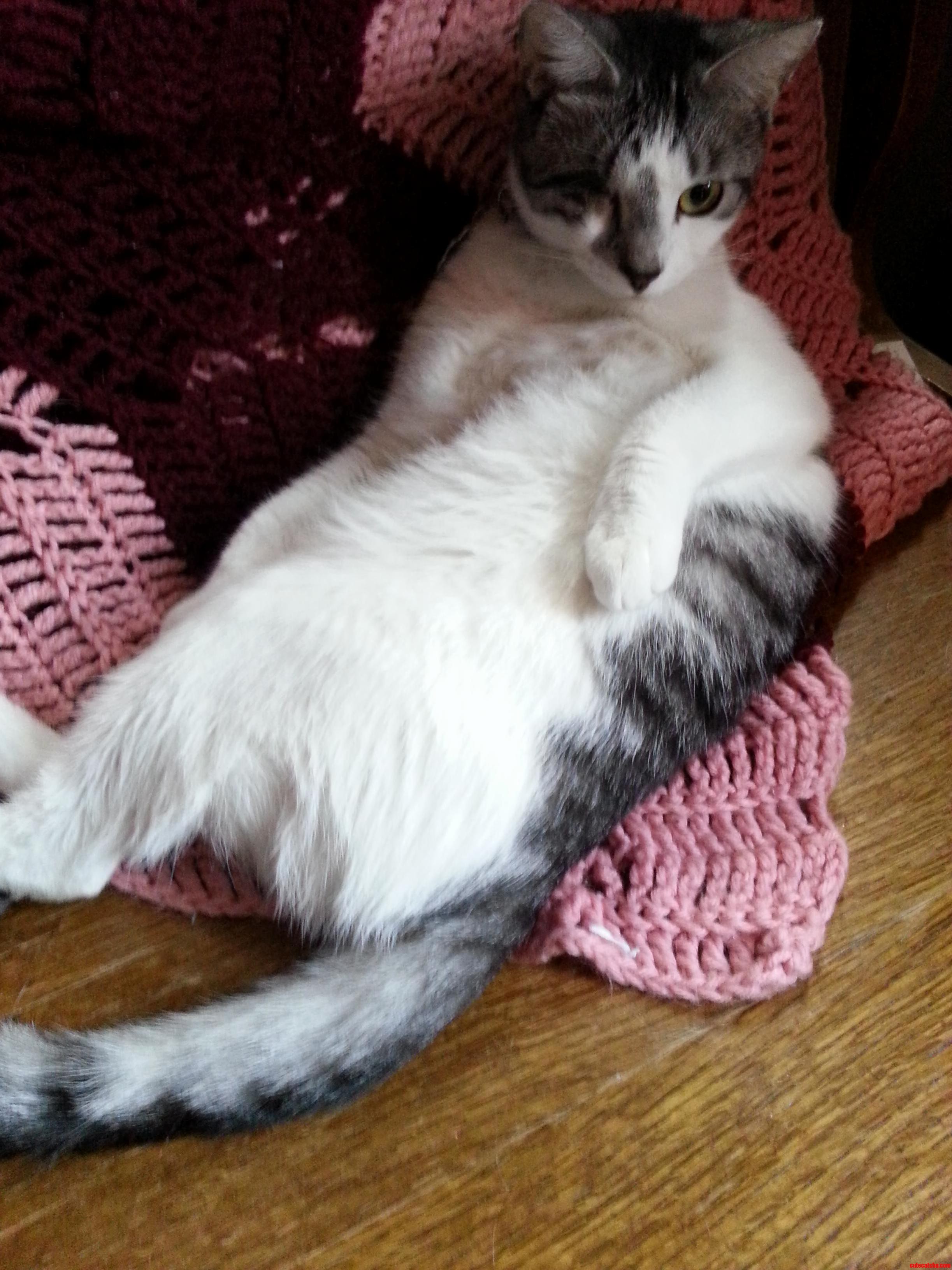 Paint Me Like One of Your French Girls.