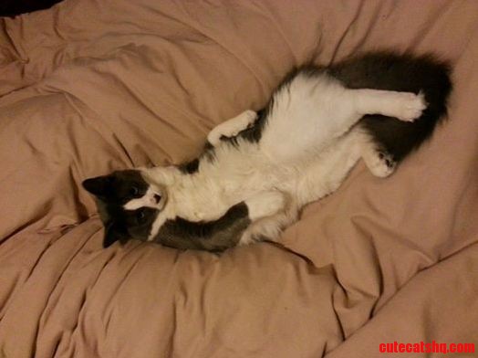 Paint Me Like One of Your French Girls