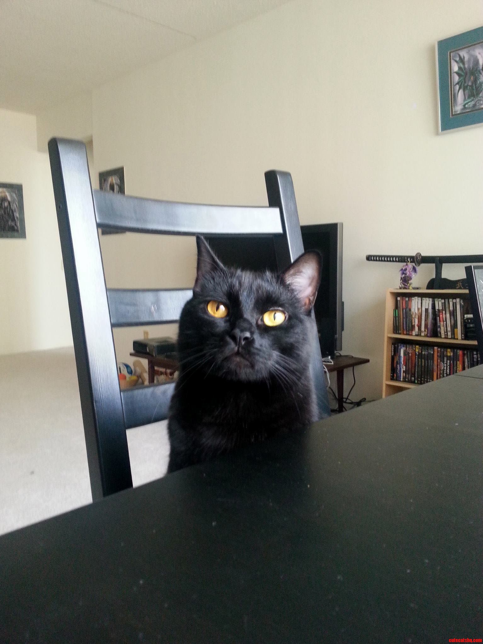 Pardon Me Would You Please Pass the Grey Poupon