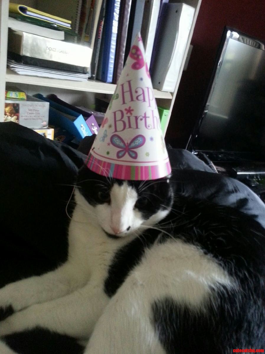 Party Time