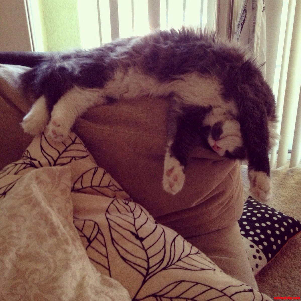 Passed Out.
