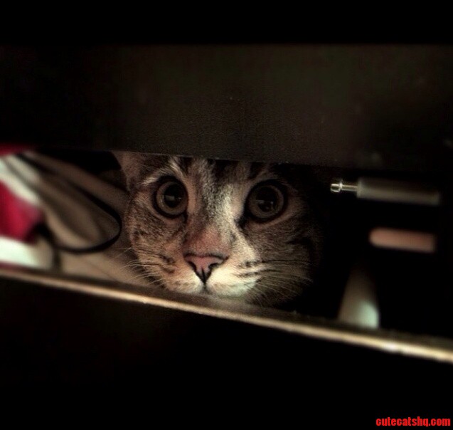 Peek-a-boo