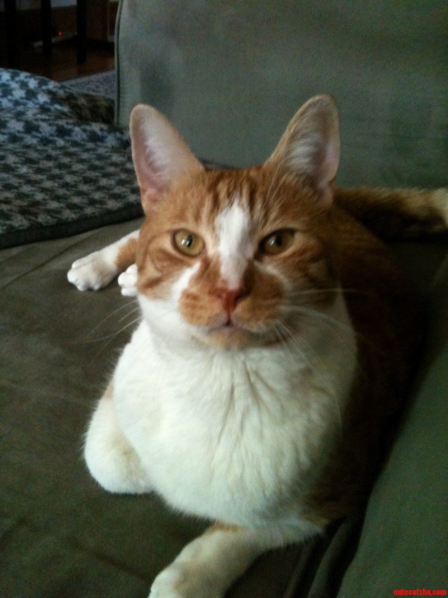 Pip- the Handsome Man.