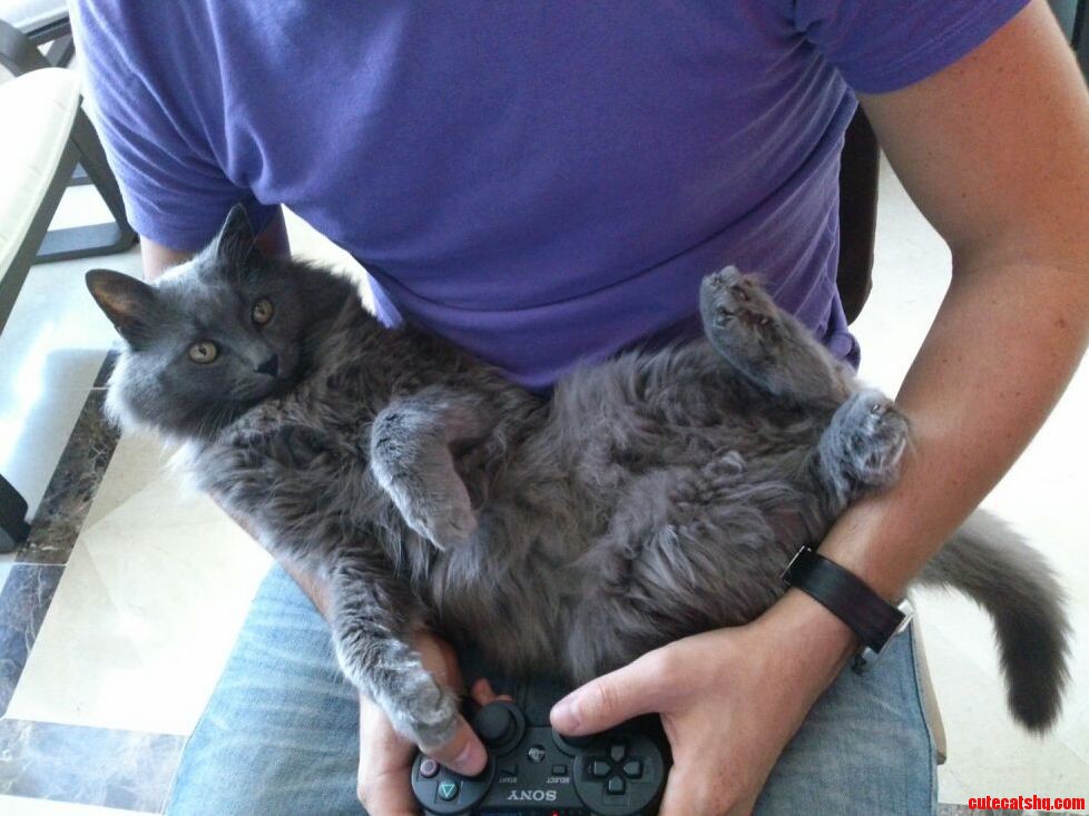 Playing Gta V
