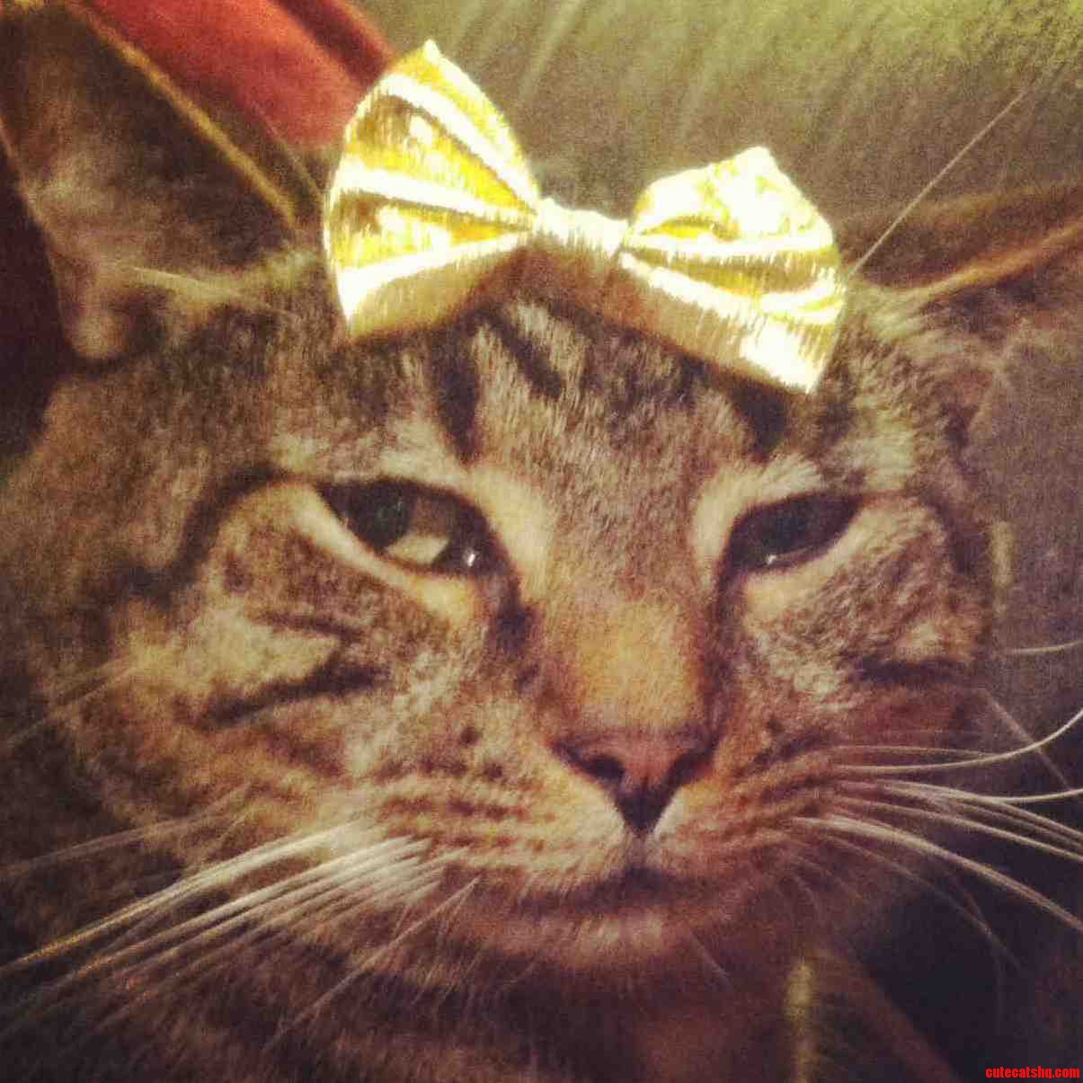 Pretty Boy Does Not Feel So Pretty.