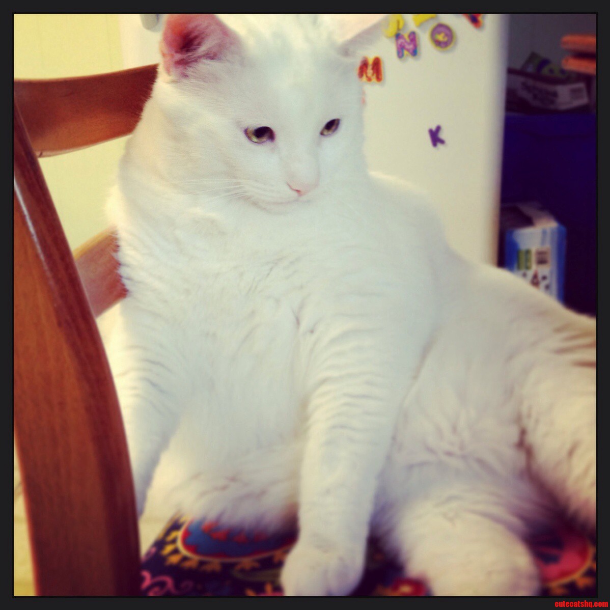 Pretty Boy