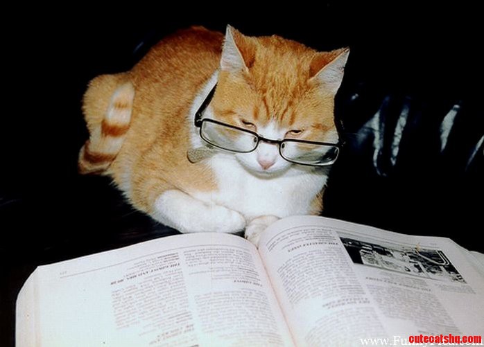 Prof. Dr. Dr. Med. Van Cat