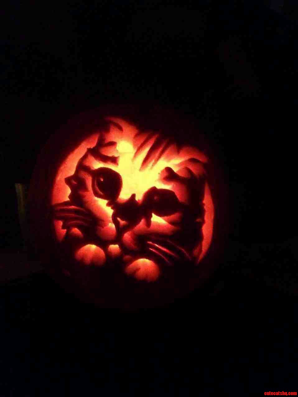 Pumpkin Kitty