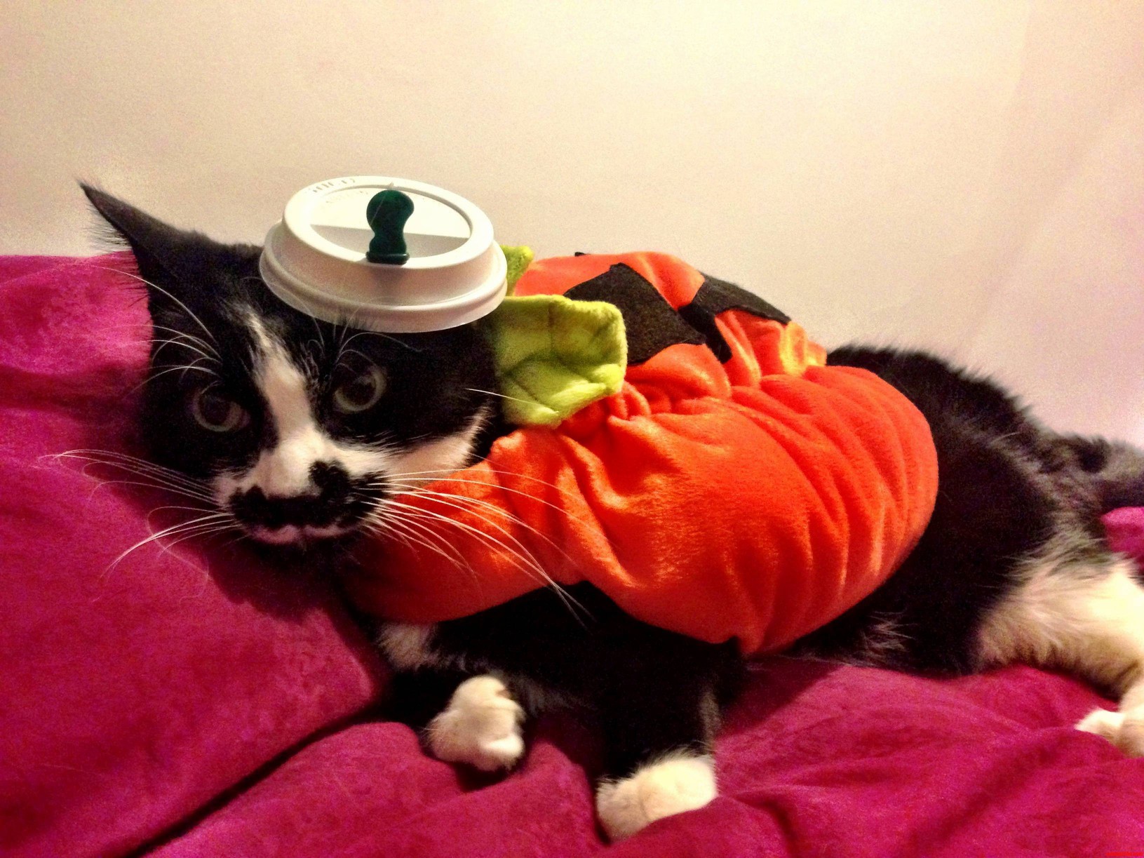 Pumpkin Spice Latte