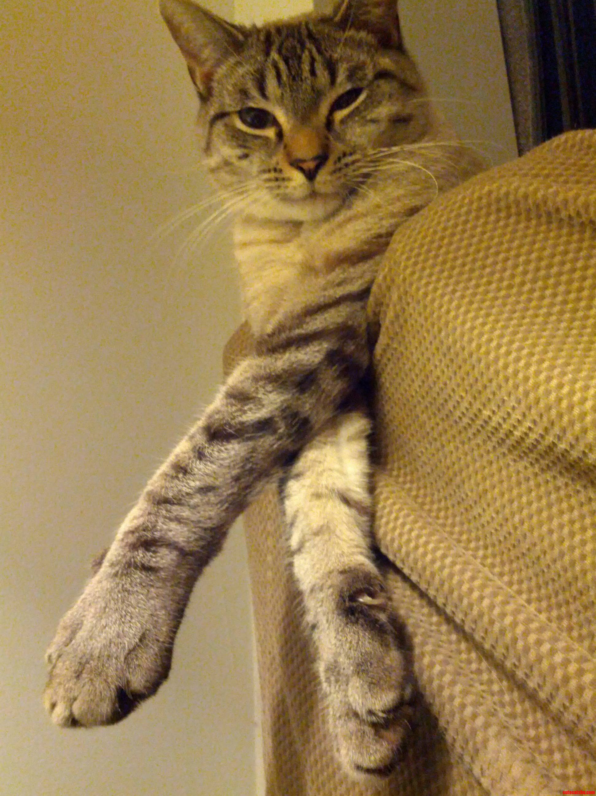 Ramses Looking Down Upon His Subjects.