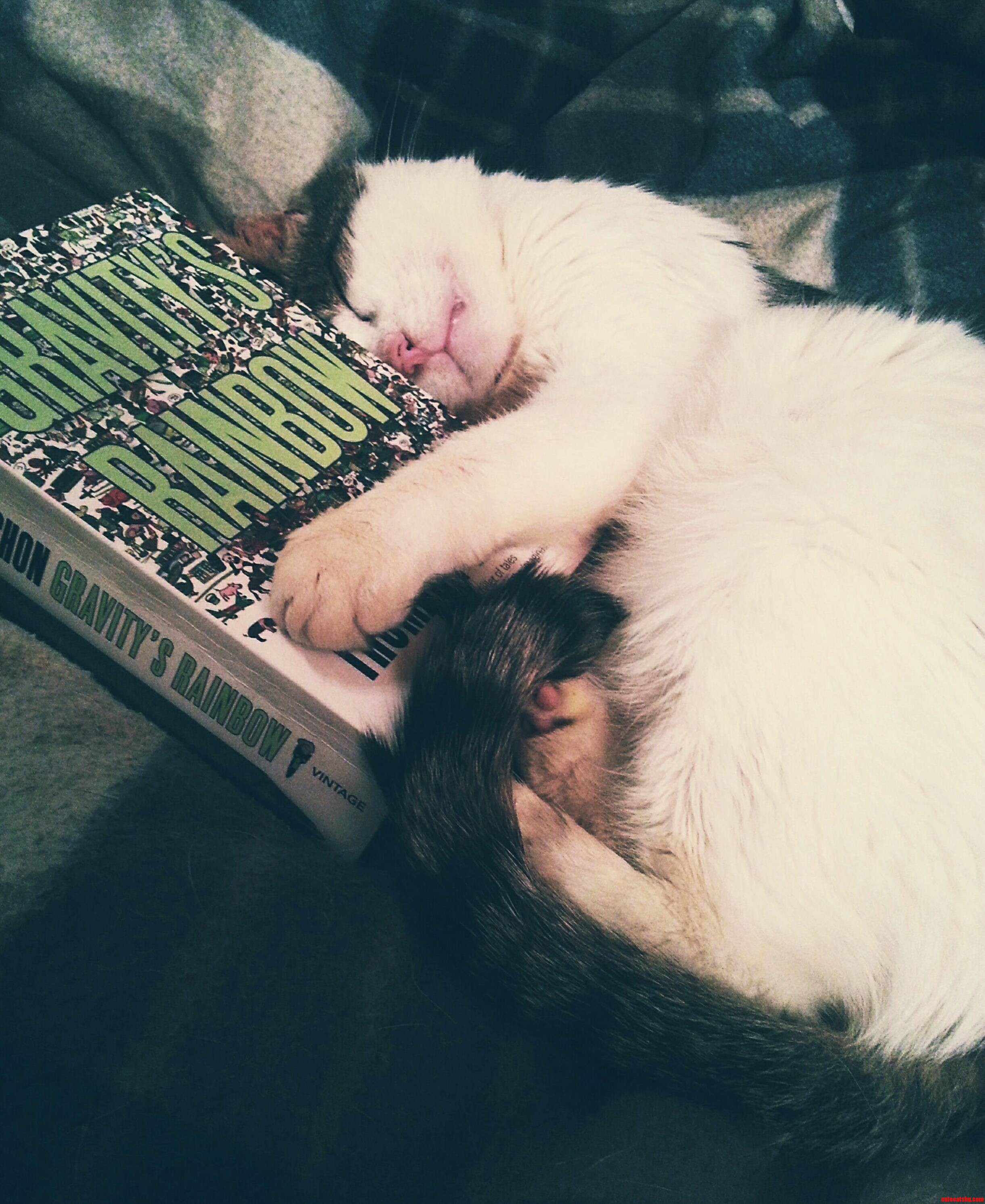 Readings Been Kinda Tiresome for Our Bender Lately