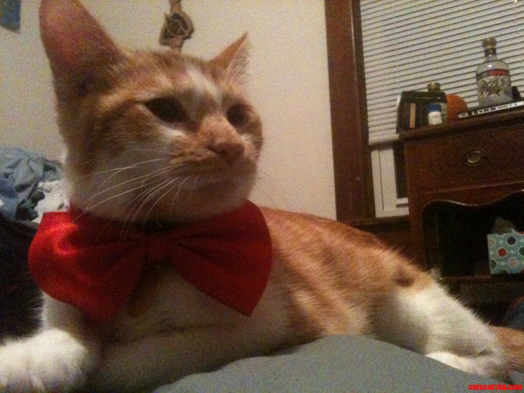 Ready to Party