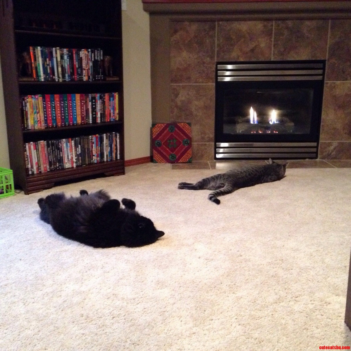 Recently Rearranged Our Living Room to Take Advantage of the Fireplace. I Think Theyre Pretty Happy with the Change.
