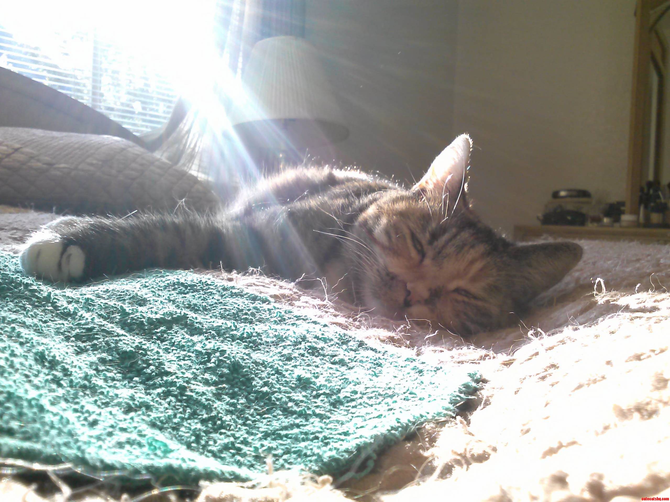 Saturday Morning