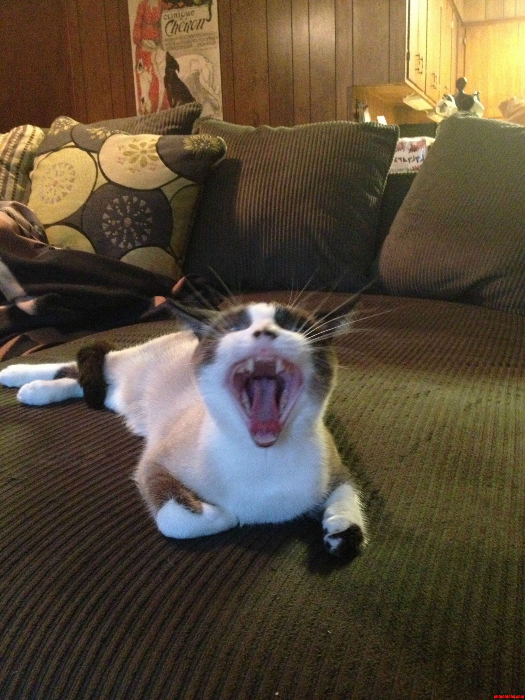 Say Ahhhh