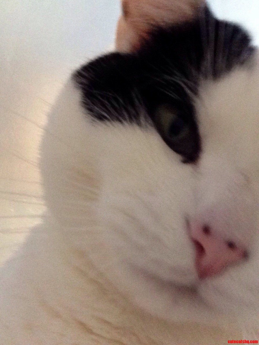 Selfie