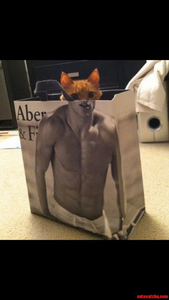 Sexy Pussy