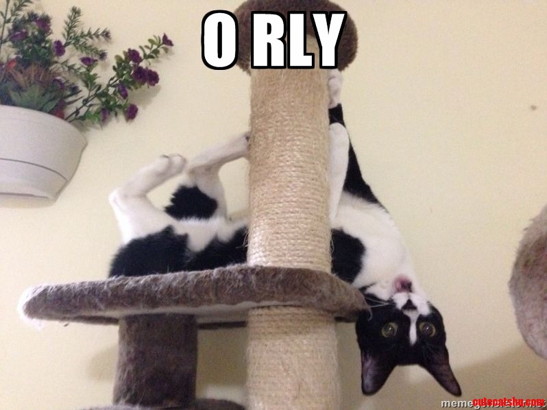 She Always Does This