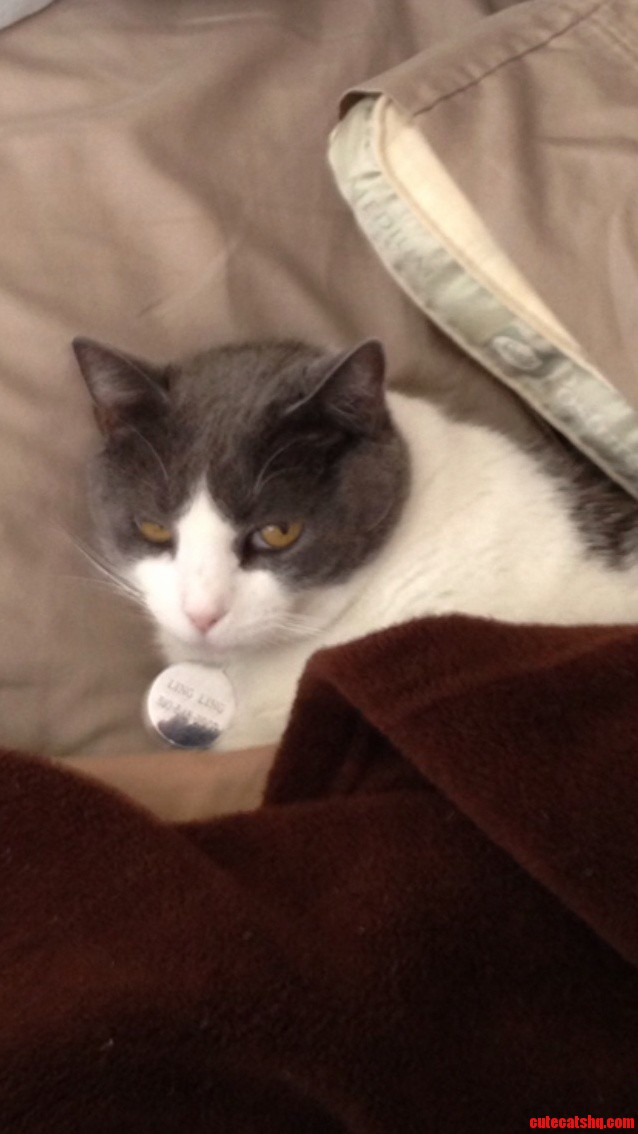 She Doesnt Like to Be Bothered Before Noon
