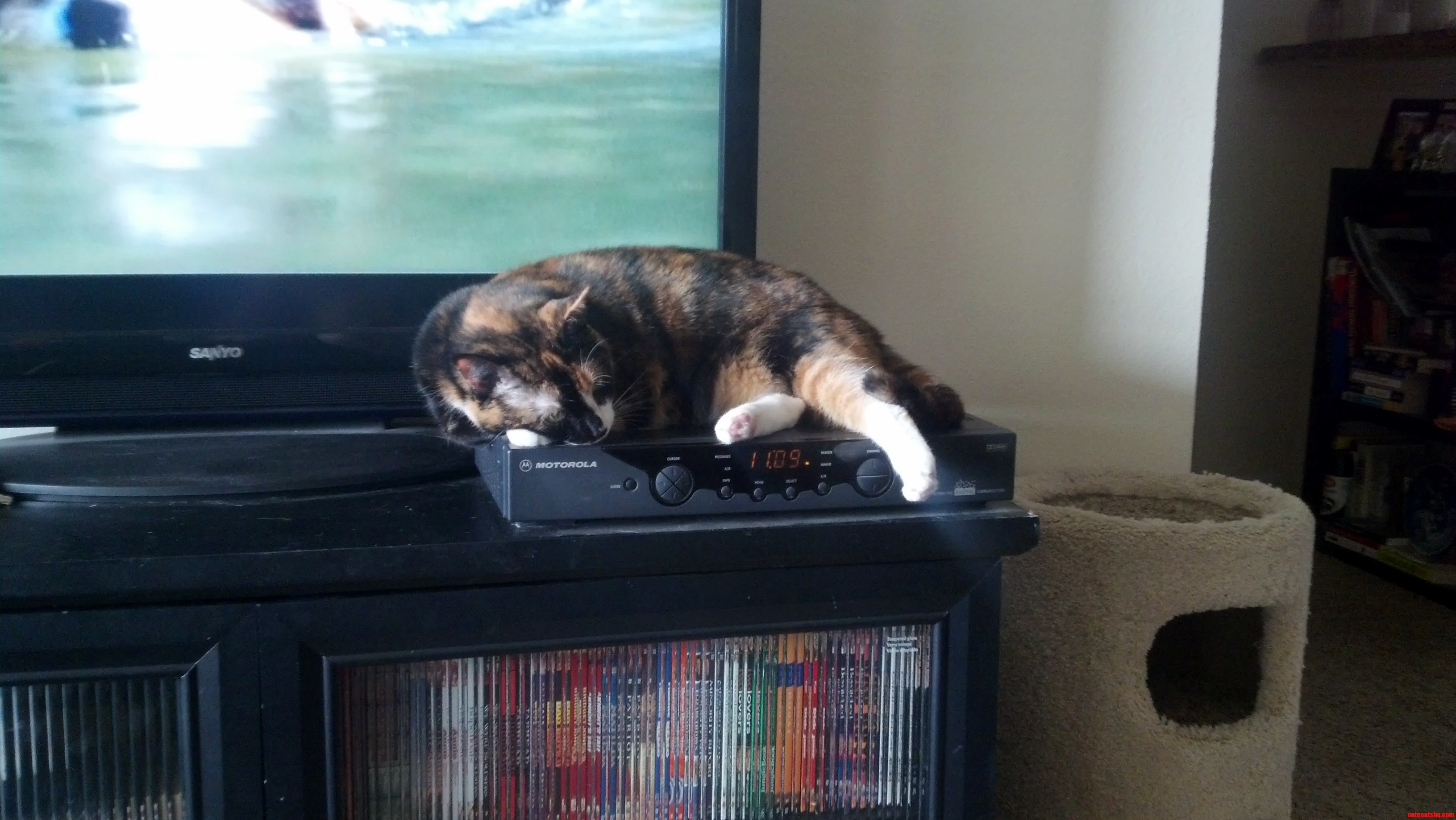 She Has Been in the Same Spot for Almost 24 Hours.