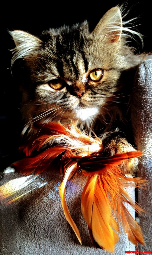 She Is a Little Diva but She Knows How to Be Cute to Get What She Wants...