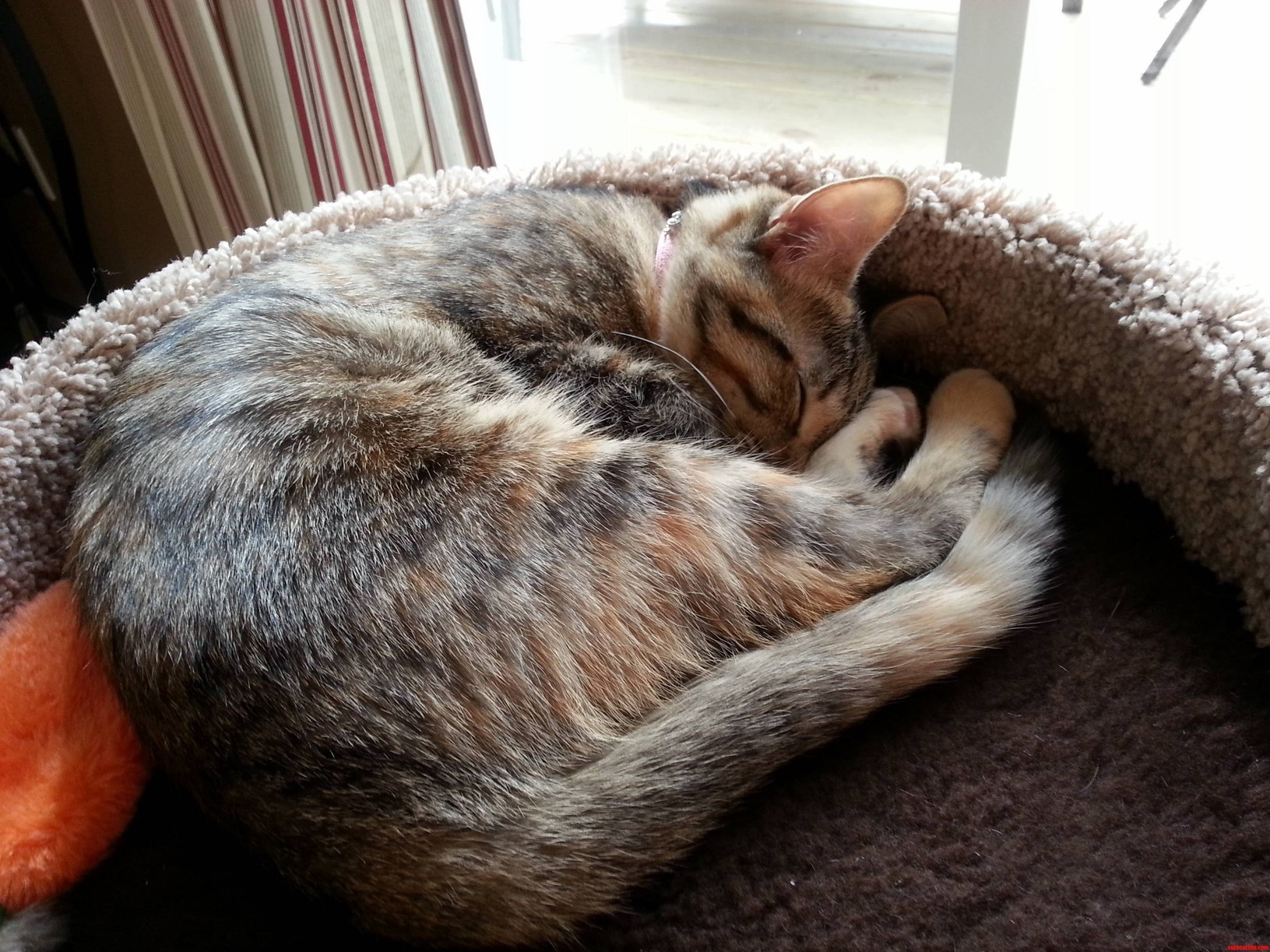 She Is Tired