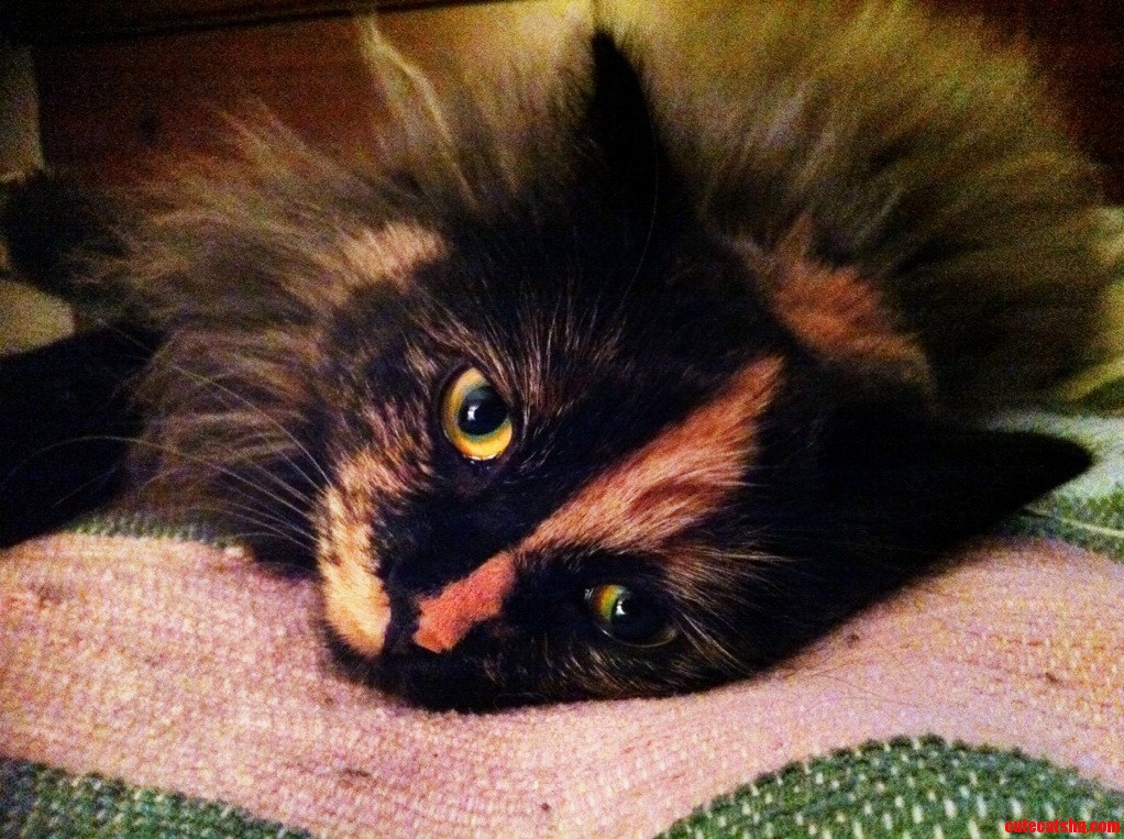 She Lets Me Photograph Her She Loves to Play Model for Me.