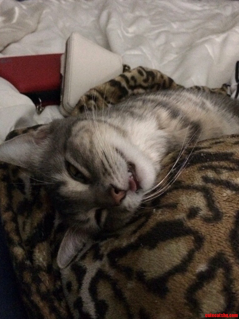 She Looks Broken but Shes Just Sleeping.